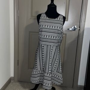 Black & White Flare Dress